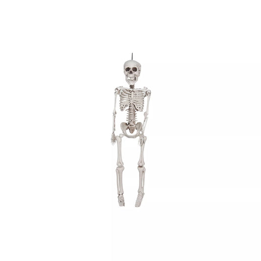 20 In Plastic Skeleton - US 0031