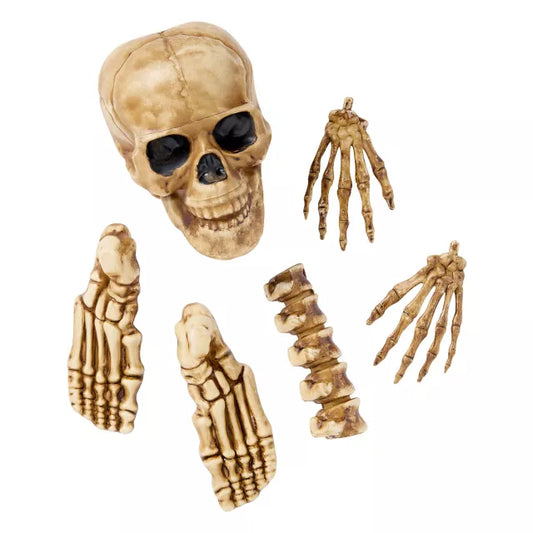 12-Piece Bag of Decaying Bones - US 8895