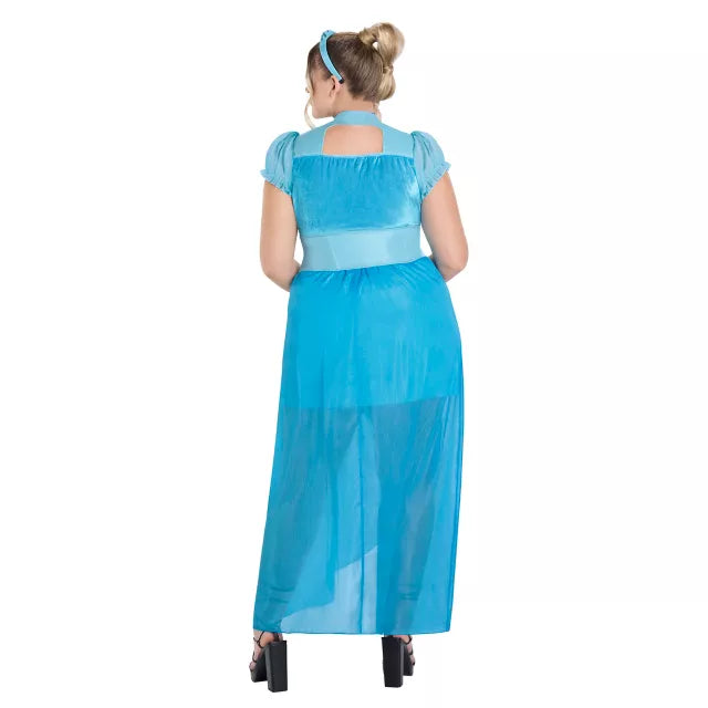 Adult Cinderella Dress Costume- Disney Princess - US 4187