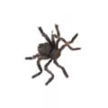 20 Inch Hairy Spider - US 6160