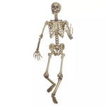 5 Ft Poseable Skeleton - US 6528