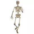 5 Ft Poseable Skeleton - US 6528