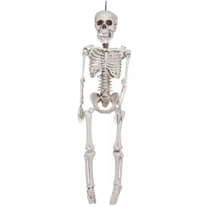 3 Ft Plastic Skeleton - US 0294