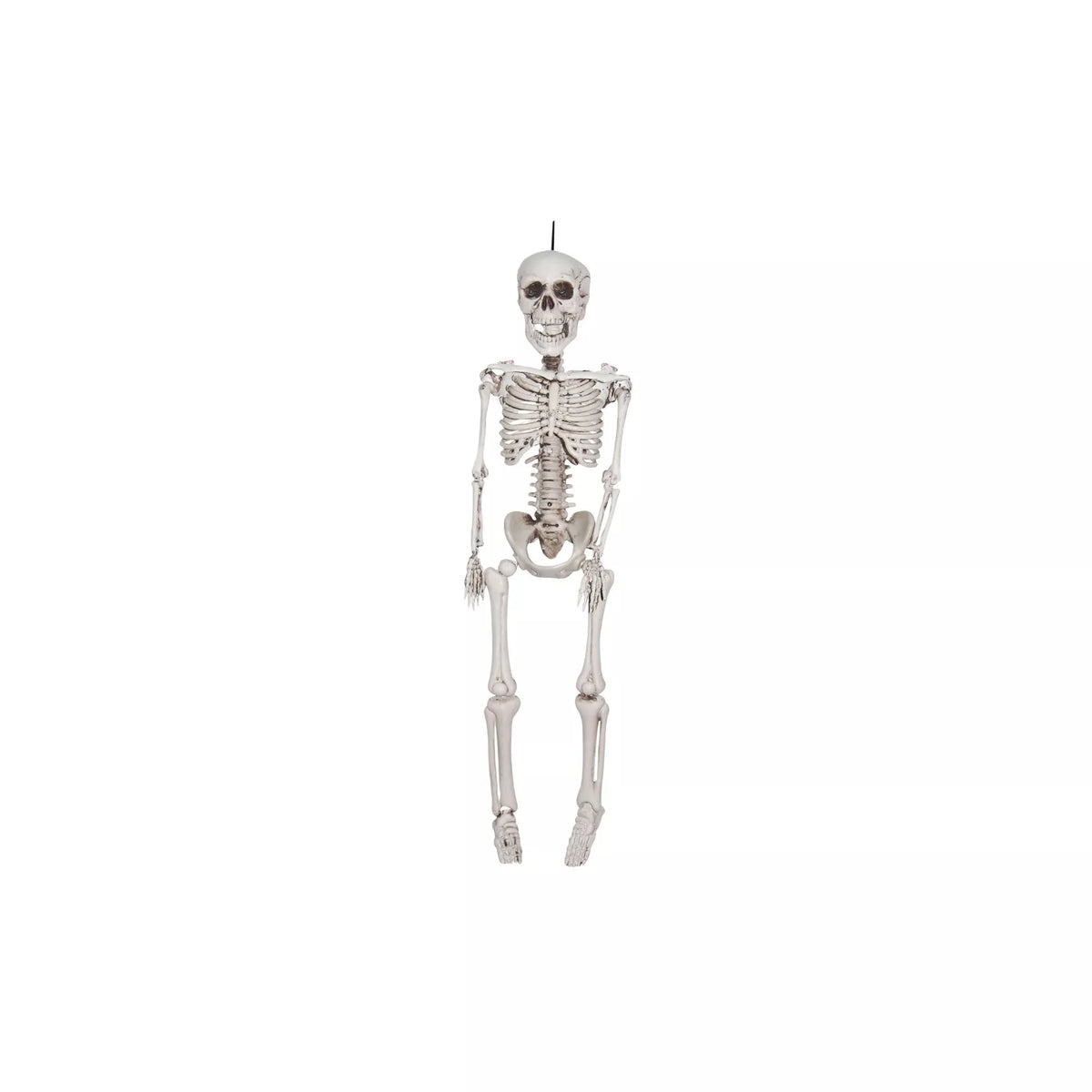 20 In Plastic Skeleton - US 0031