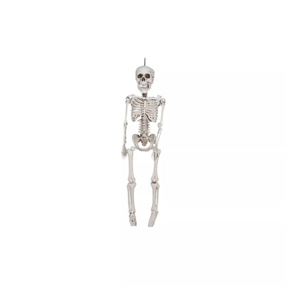 20 In Plastic Skeleton - US 0031