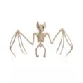22.5 Inch Bat Skeleton - US 7470