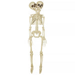 20 Inch Two-Headed Skeleton - US 1842