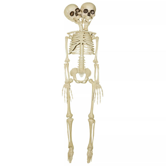 20 Inch Two-Headed Skeleton - US 1842