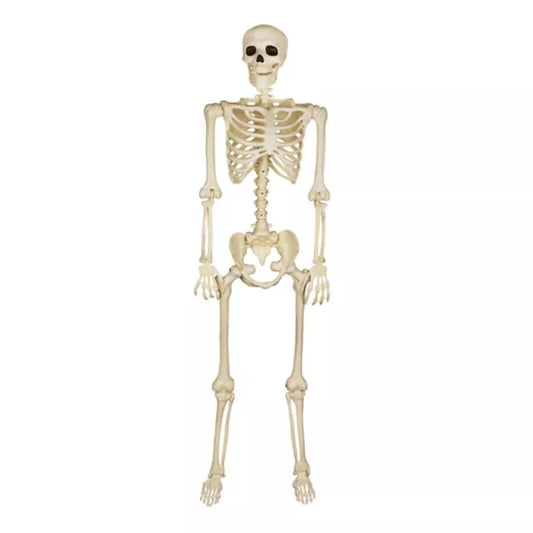 5 Ft Black Light Pose 'N' Stay Skeleton - US 8003