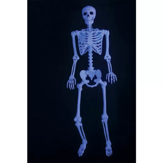 5 Ft Black Light Pose 'N' Stay Skeleton - US 8003