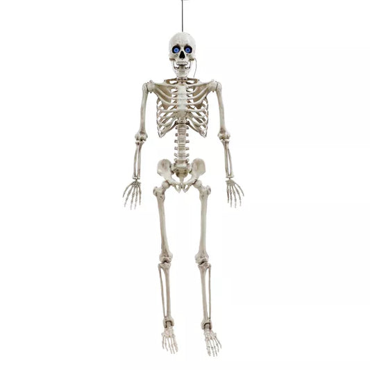 5 Ft Poseable Digieye Skeleton - US 5581