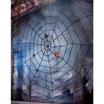 9 Ft Black Rope Spider Web Decoration - US 6499
