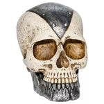 6 Inch Iron Armored Skull - US 9817