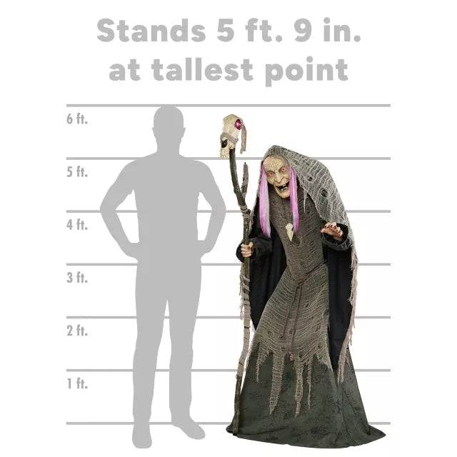 5 Ft 9 In Willow Witch Animatronic - US 9913