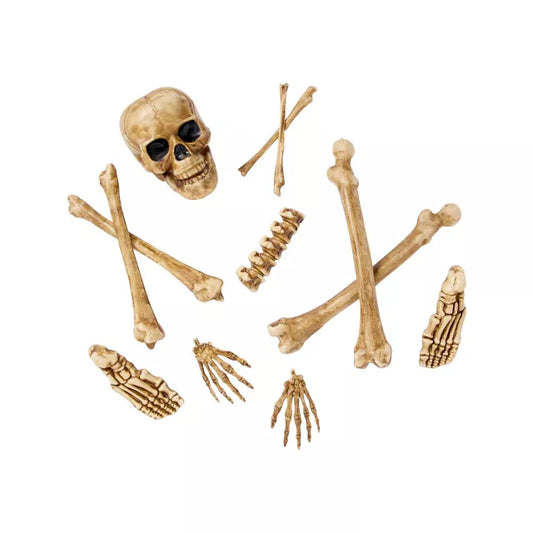 12-Piece Bag of Decaying Bones - US 8895