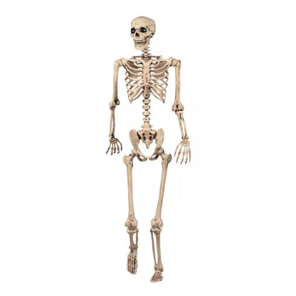 5 Ft Pose 'N' Stay Skeleton - US 5996