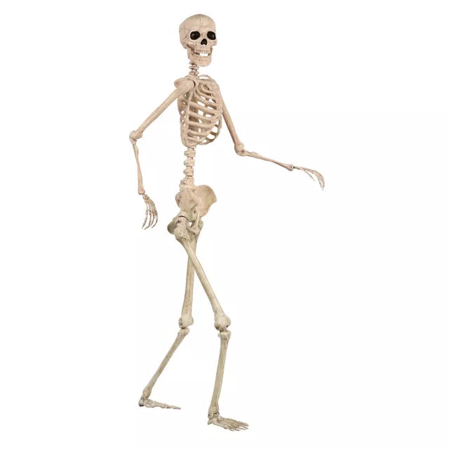 5 Ft Pose 'N' Stay Skeleton - US 5996