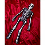 5.25 Ft Ossa Bones Comfy Curiosity - US 9891