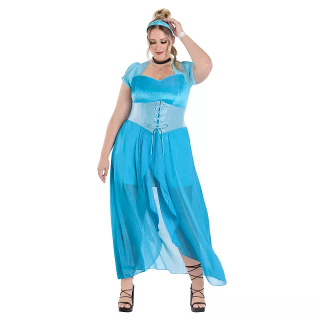 Adult Cinderella Dress Costume- Disney Princess - US 4187
