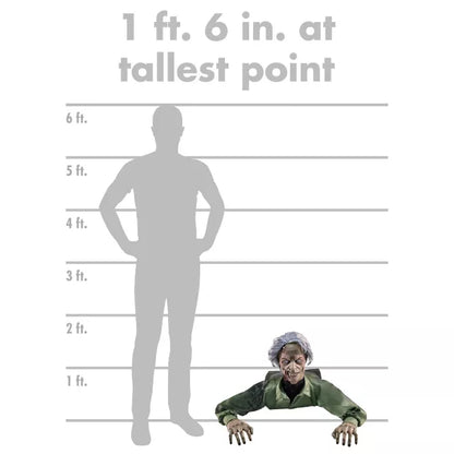 1 Ft 6 In Creepy Crawler Animatronic - US 6847
